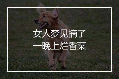 女人梦见摘了一晚上烂香菜