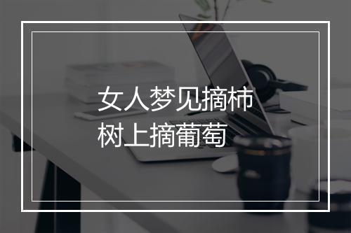 女人梦见摘柿树上摘葡萄