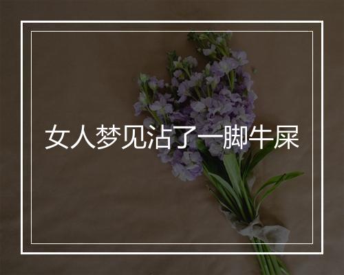 女人梦见沾了一脚牛屎