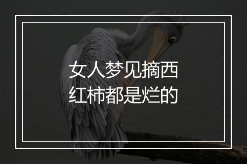 女人梦见摘西红柿都是烂的