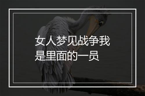 女人梦见战争我是里面的一员