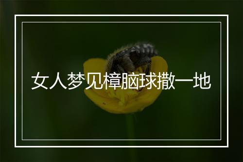 女人梦见樟脑球撒一地