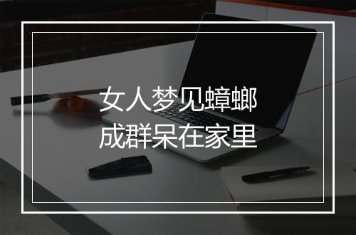 女人梦见蟑螂成群呆在家里