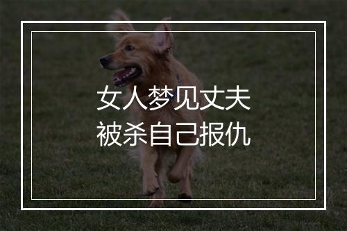 女人梦见丈夫被杀自己报仇