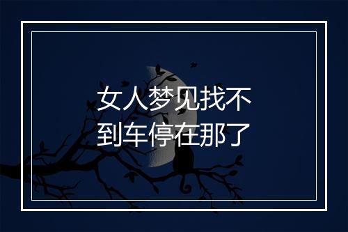 女人梦见找不到车停在那了