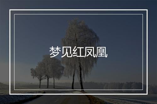 梦见红凤凰