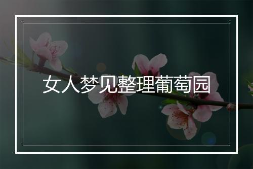 女人梦见整理葡萄园