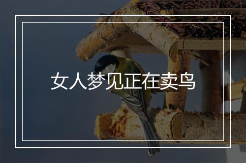 女人梦见正在卖鸟