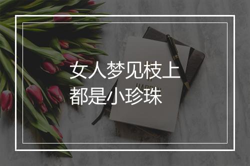 女人梦见枝上都是小珍珠