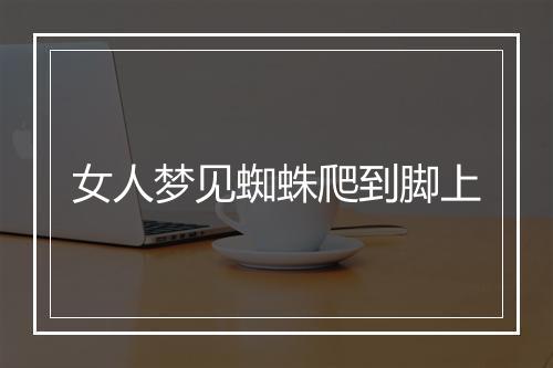 女人梦见蜘蛛爬到脚上