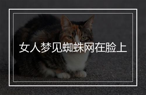 女人梦见蜘蛛网在脸上