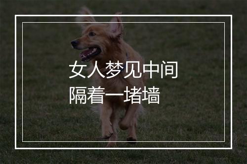 女人梦见中间隔着一堵墙