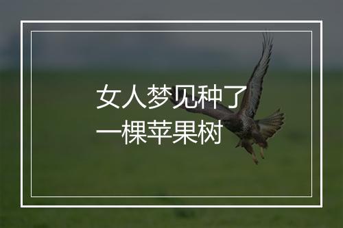 女人梦见种了一棵苹果树