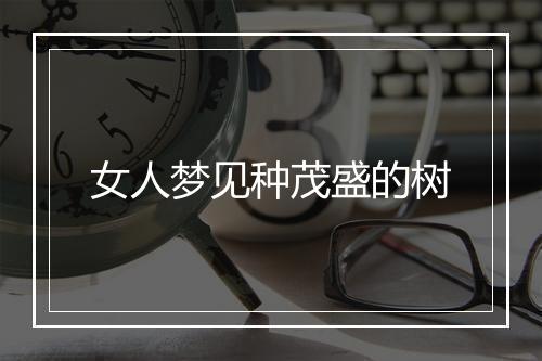 女人梦见种茂盛的树