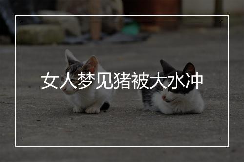 女人梦见猪被大水冲