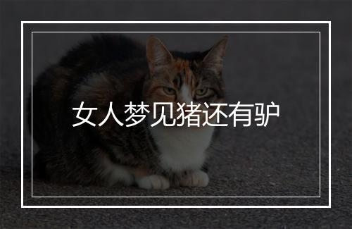 女人梦见猪还有驴