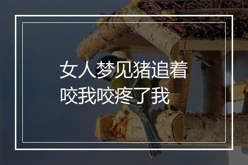 女人梦见猪追着咬我咬疼了我