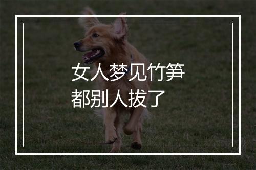 女人梦见竹笋都别人拔了