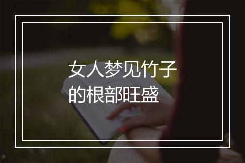 女人梦见竹子的根部旺盛