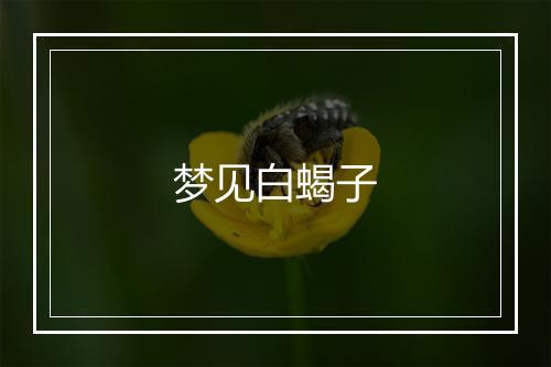 梦见白蝎子