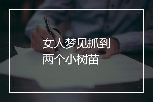 女人梦见抓到两个小树苗