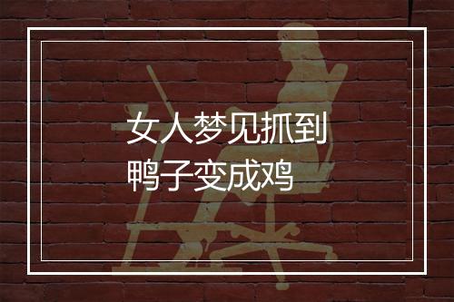 女人梦见抓到鸭子变成鸡