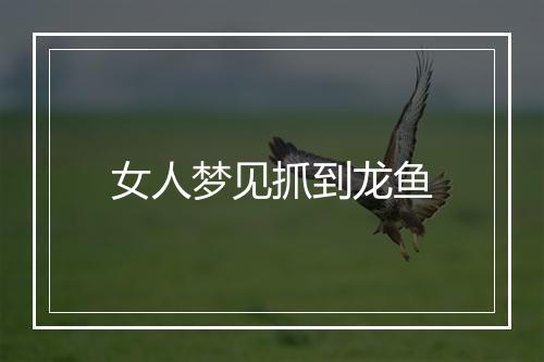 女人梦见抓到龙鱼