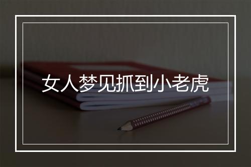 女人梦见抓到小老虎