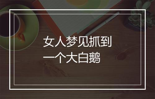 女人梦见抓到一个大白鹅