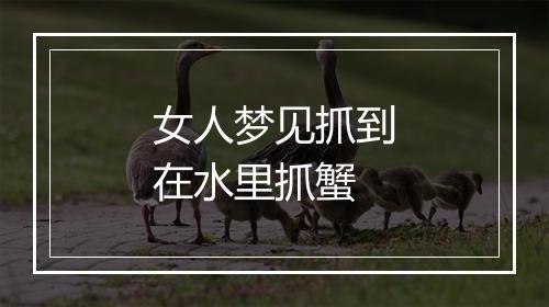 女人梦见抓到在水里抓蟹