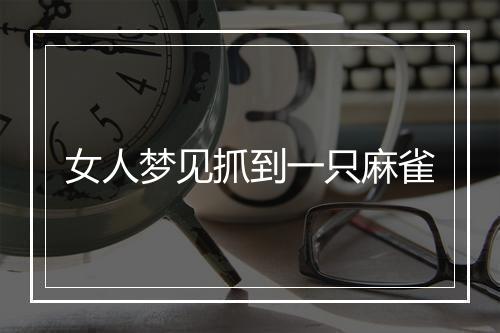 女人梦见抓到一只麻雀