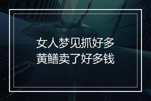 女人梦见抓好多黄鳝卖了好多钱