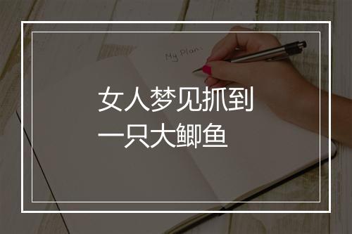 女人梦见抓到一只大鲫鱼