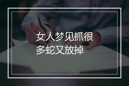 女人梦见抓很多蛇又放掉