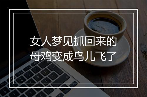 女人梦见抓回来的母鸡变成鸟儿飞了