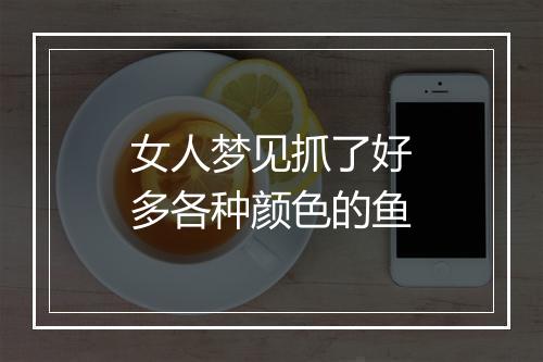 女人梦见抓了好多各种颜色的鱼