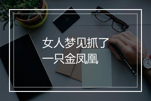 女人梦见抓了一只金凤凰