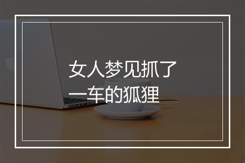 女人梦见抓了一车的狐狸