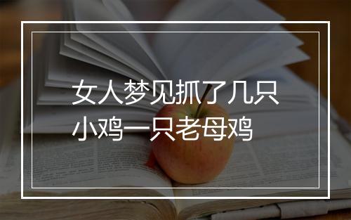 女人梦见抓了几只小鸡一只老母鸡