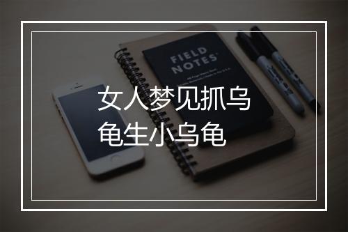 女人梦见抓乌龟生小乌龟