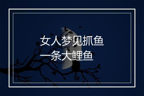 女人梦见抓鱼一条大鲤鱼