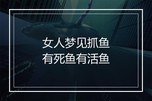 女人梦见抓鱼有死鱼有活鱼