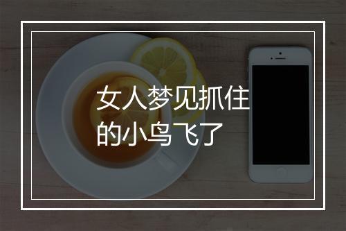 女人梦见抓住的小鸟飞了