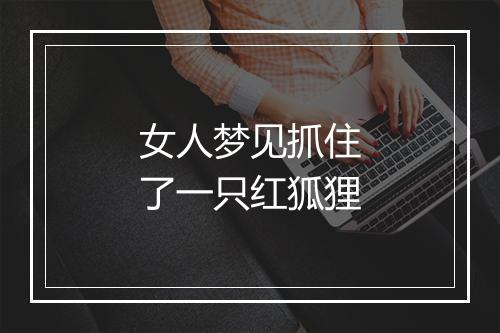 女人梦见抓住了一只红狐狸