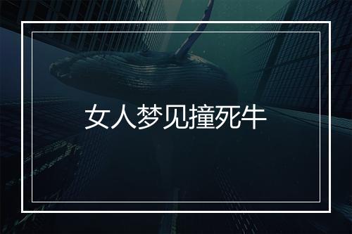 女人梦见撞死牛