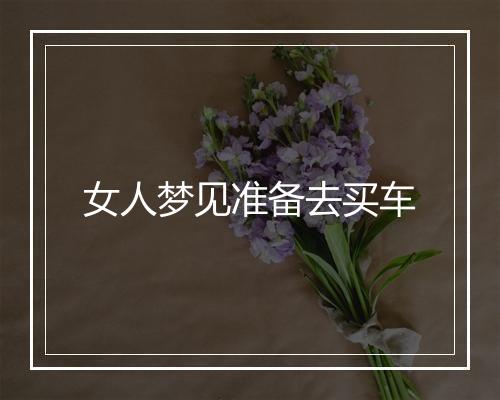 女人梦见准备去买车