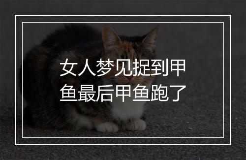 女人梦见捉到甲鱼最后甲鱼跑了