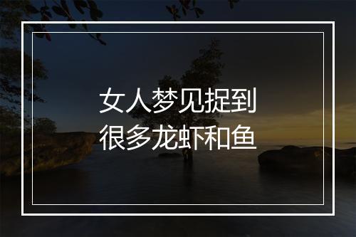 女人梦见捉到很多龙虾和鱼