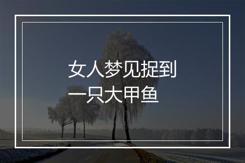 女人梦见捉到一只大甲鱼