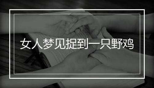 女人梦见捉到一只野鸡